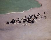 菲利克斯 瓦洛东 : Washerwomen at Etretat